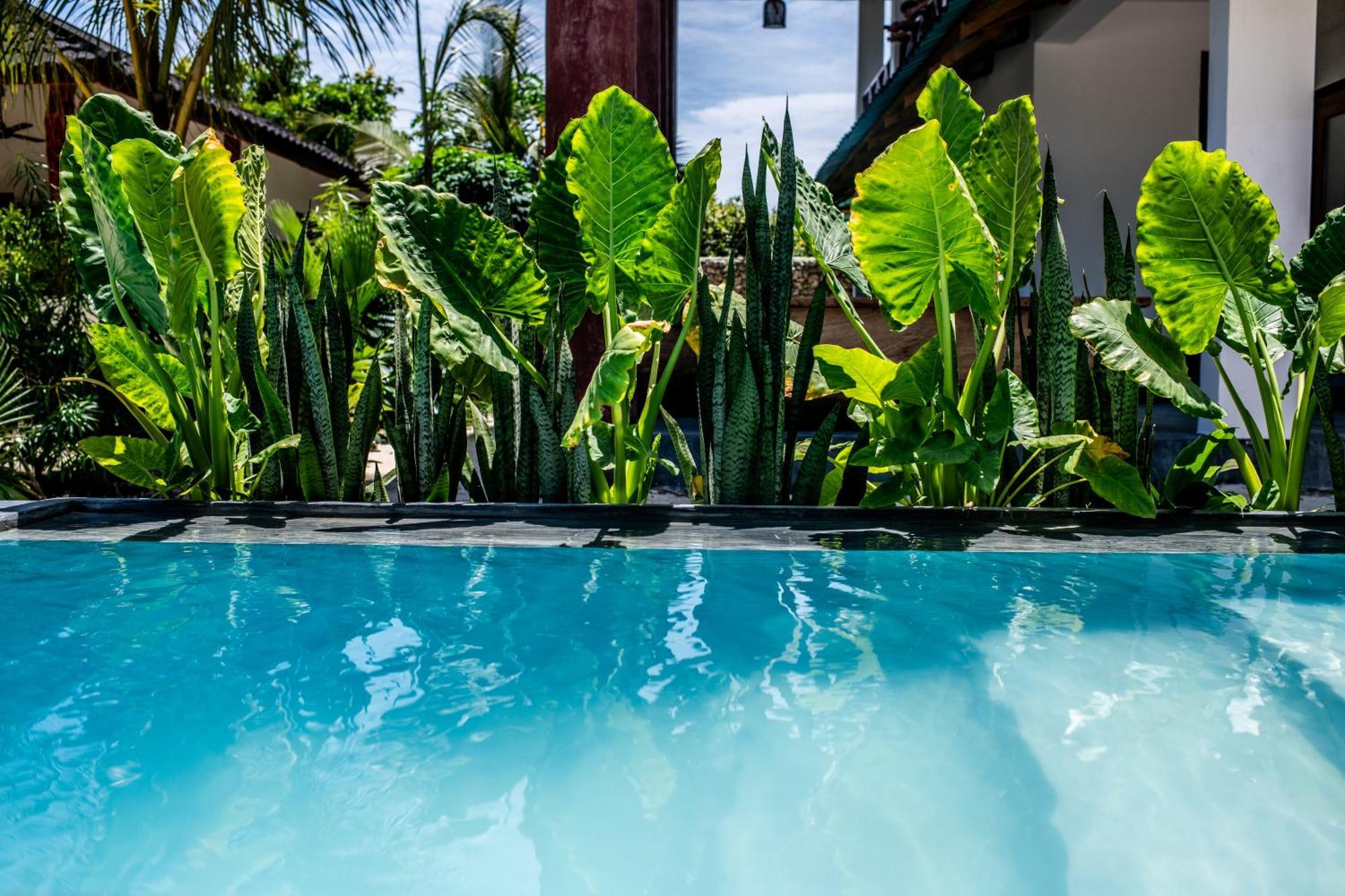 Baobab Bungalows Jambiani  Exteriér fotografie