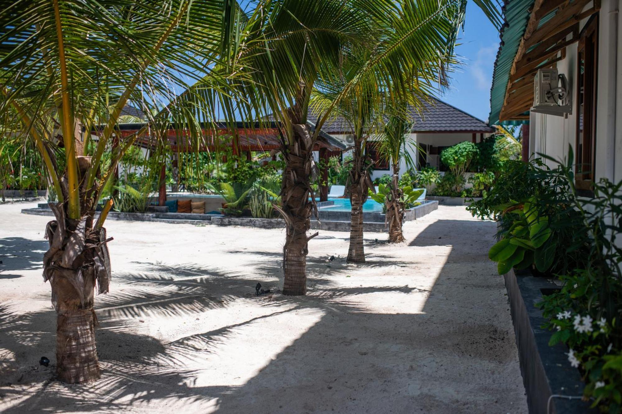 Baobab Bungalows Jambiani  Exteriér fotografie