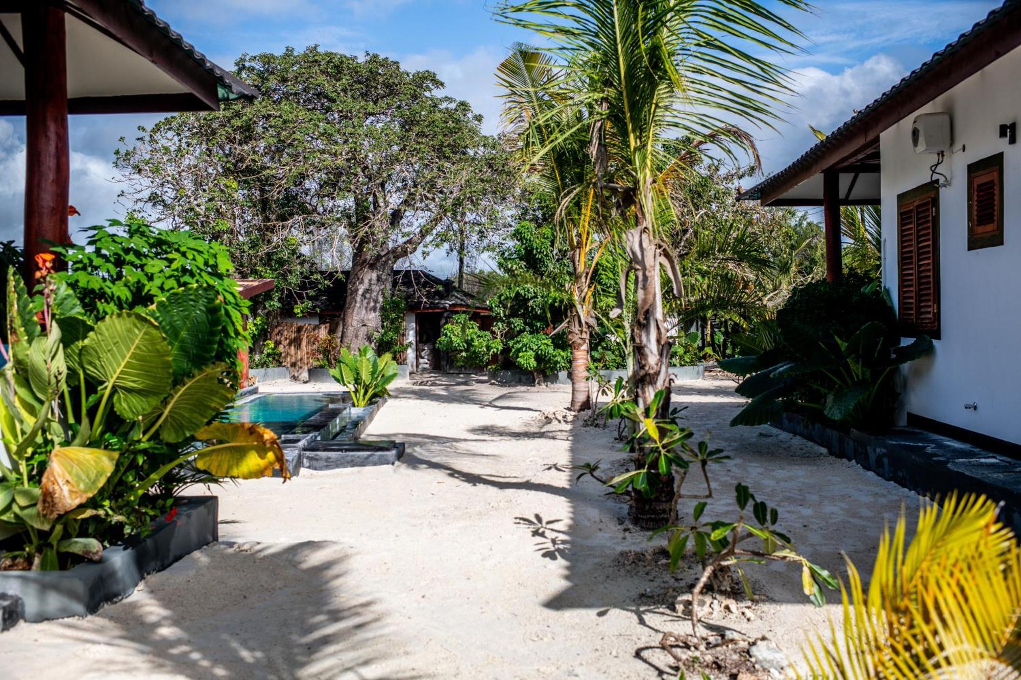 Baobab Bungalows Jambiani  Exteriér fotografie