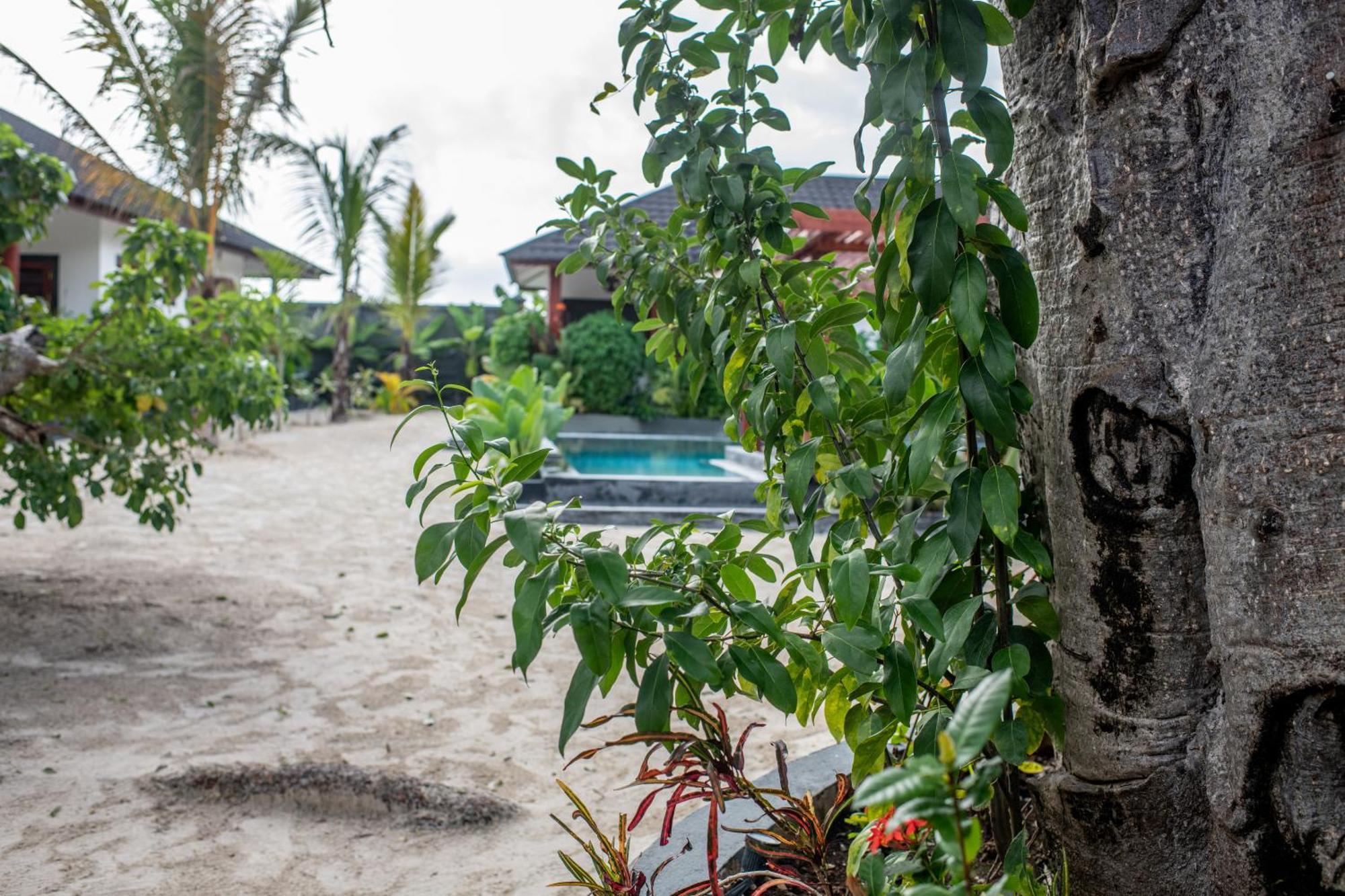 Baobab Bungalows Jambiani  Exteriér fotografie