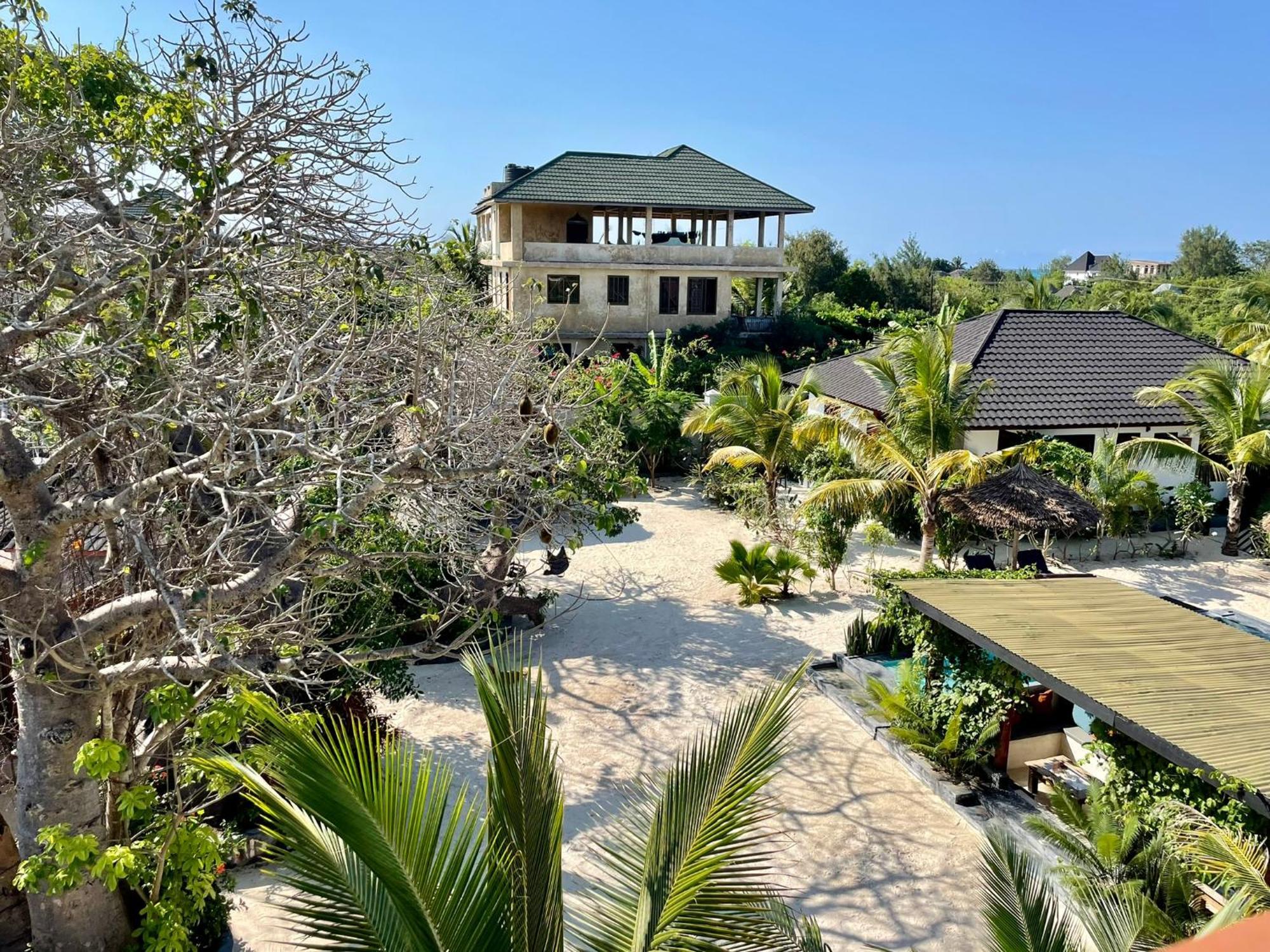 Baobab Bungalows Jambiani  Exteriér fotografie